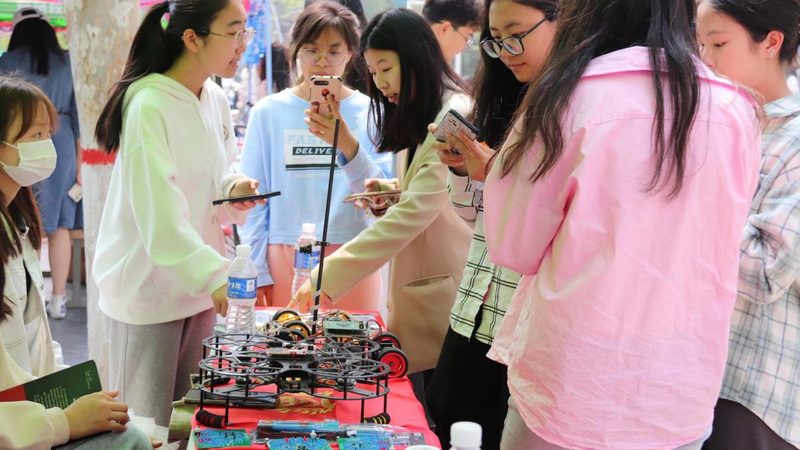 揭秘临床前医药研发外包流程：关键步骤与注意事项